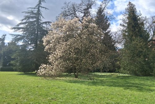 Buchlovice a park velikonoce-9