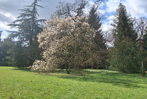 Buchlovice a park velikonoce-25