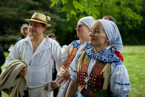 V_buchlovicich_koseni-13