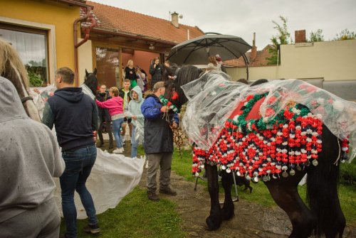 Priprava jizdy kralu Kunovice-26