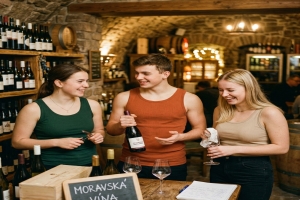  Legislativa prodeje vína ze dvora: Jak legálně prodávat ve vlastním sklepě