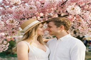 Sakura Fest Mikulov 2026: Japonské jaro na jižní Morava