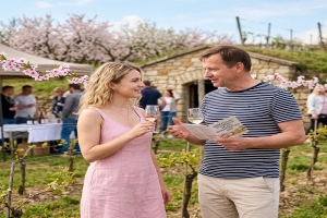 Jarní festival otevřených sklepů Hustopeče 2026 | Termín a program