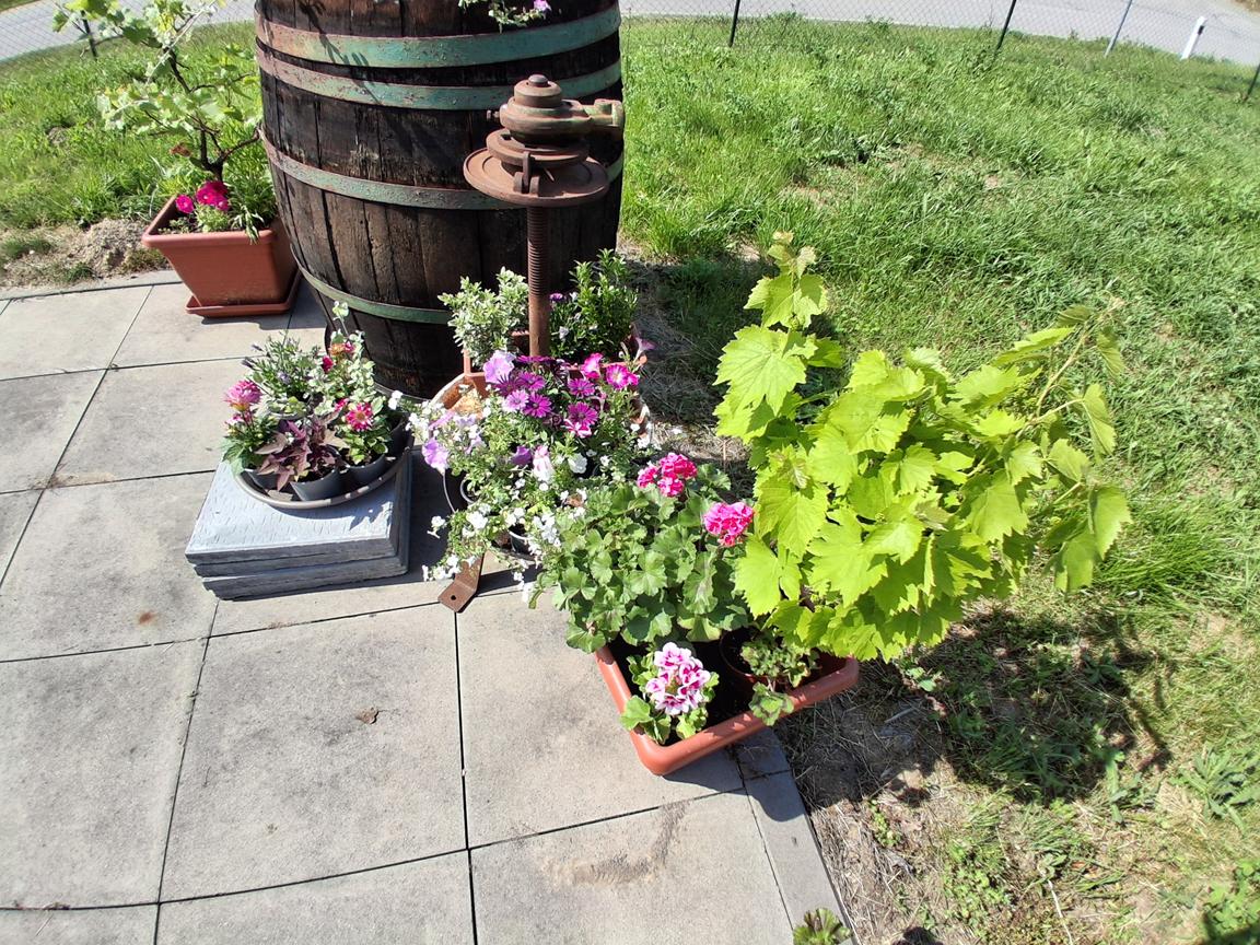 Den otevřených sklepů ve Bzenci