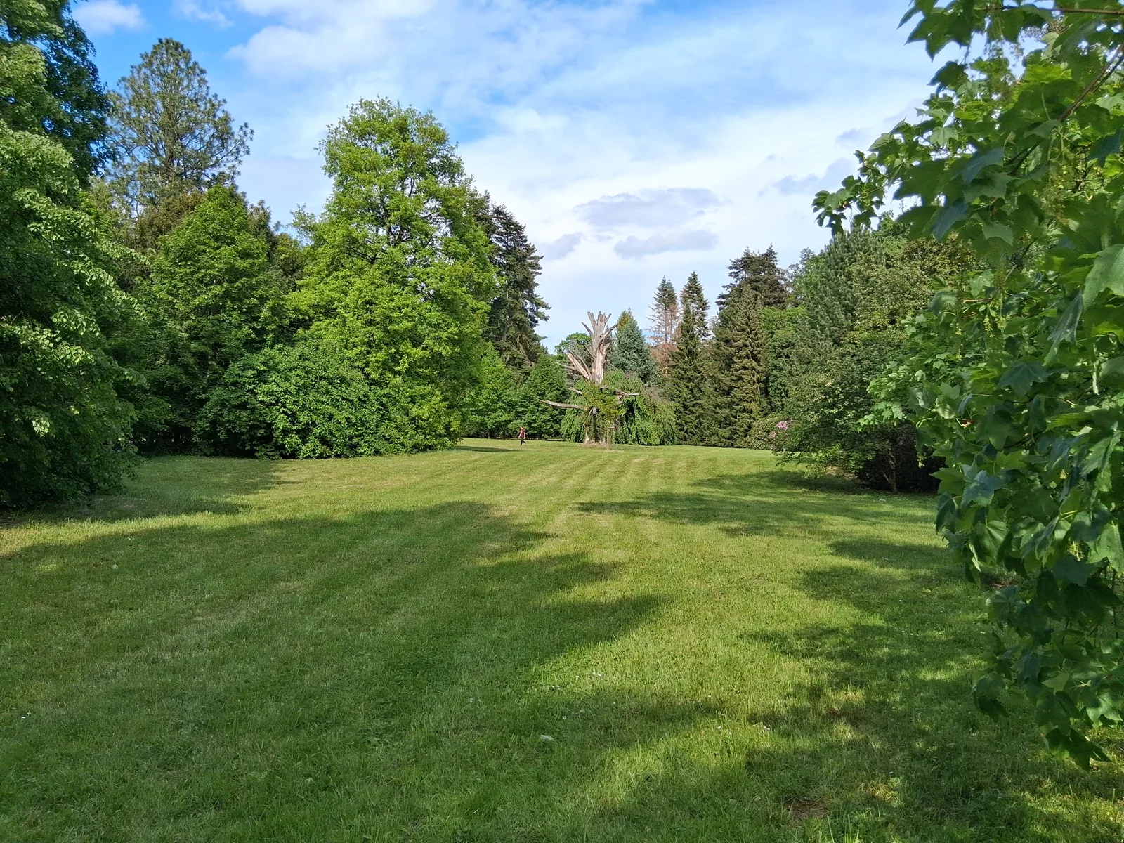 Park v zámku Buchlovice
