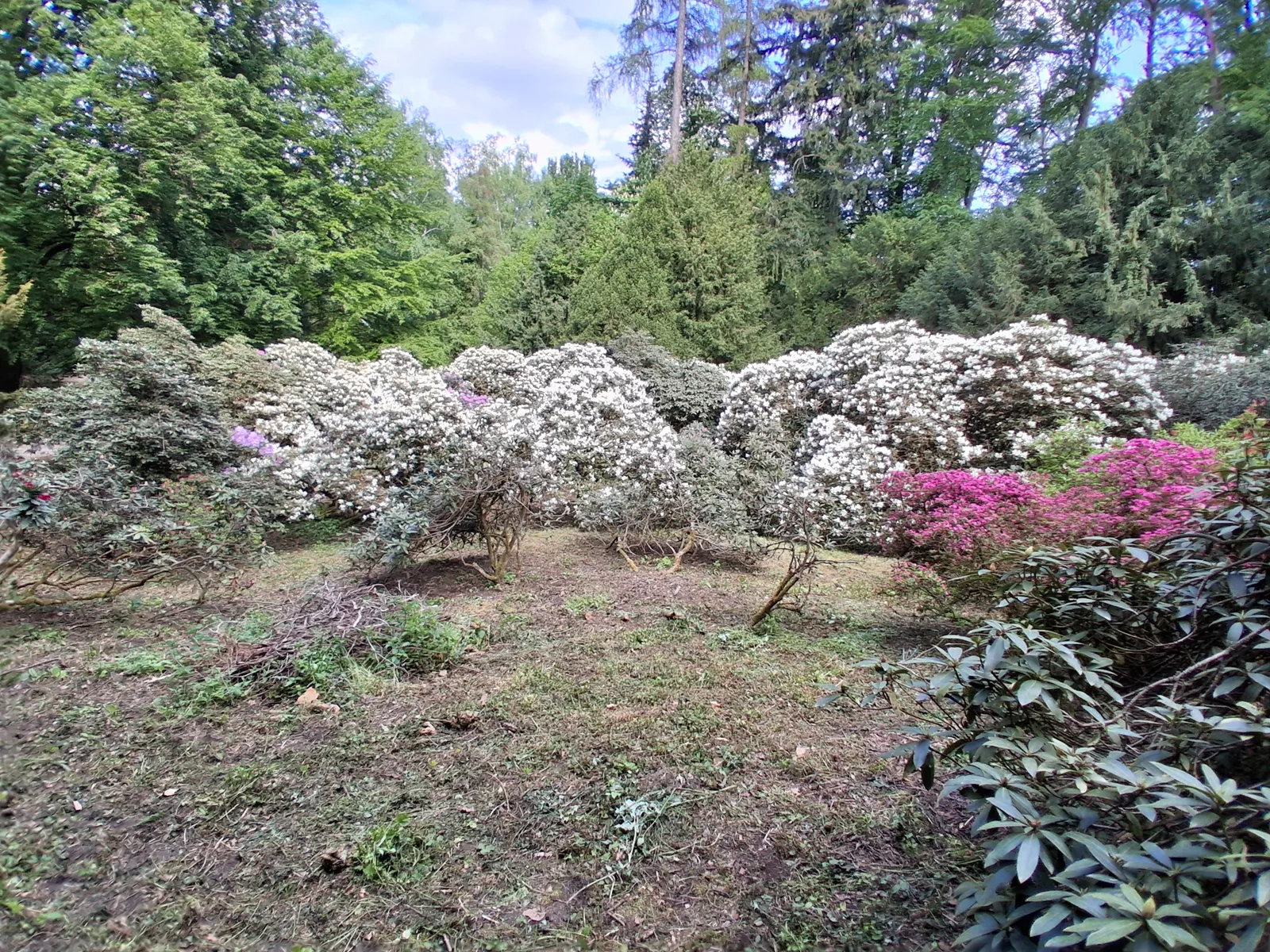 Park v zámku Buchlovice