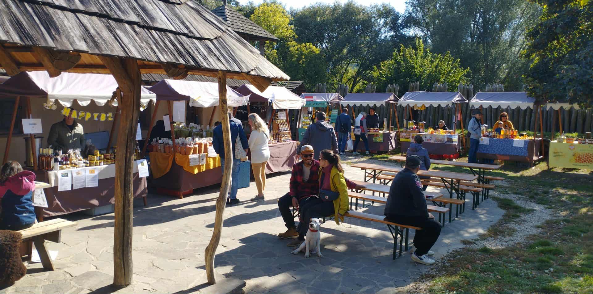  Den medu a medoviny 2025 Archeoskanzen Modrá-2