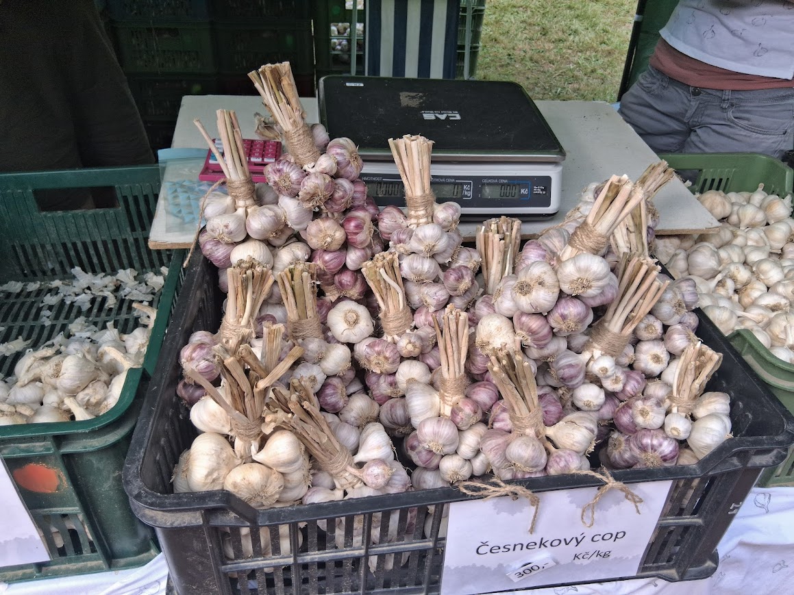 Slavnosti česneku 2025 na zámku Buchlovice-9