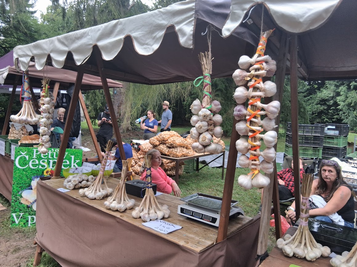 Slavnosti česneku 2025 na zámku Buchlovice-8