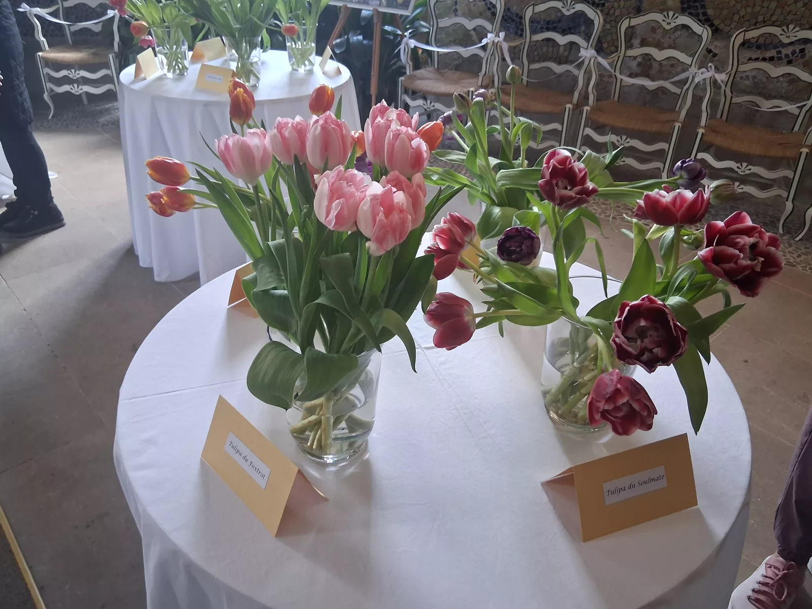 Tulipány Buchlovice 2026