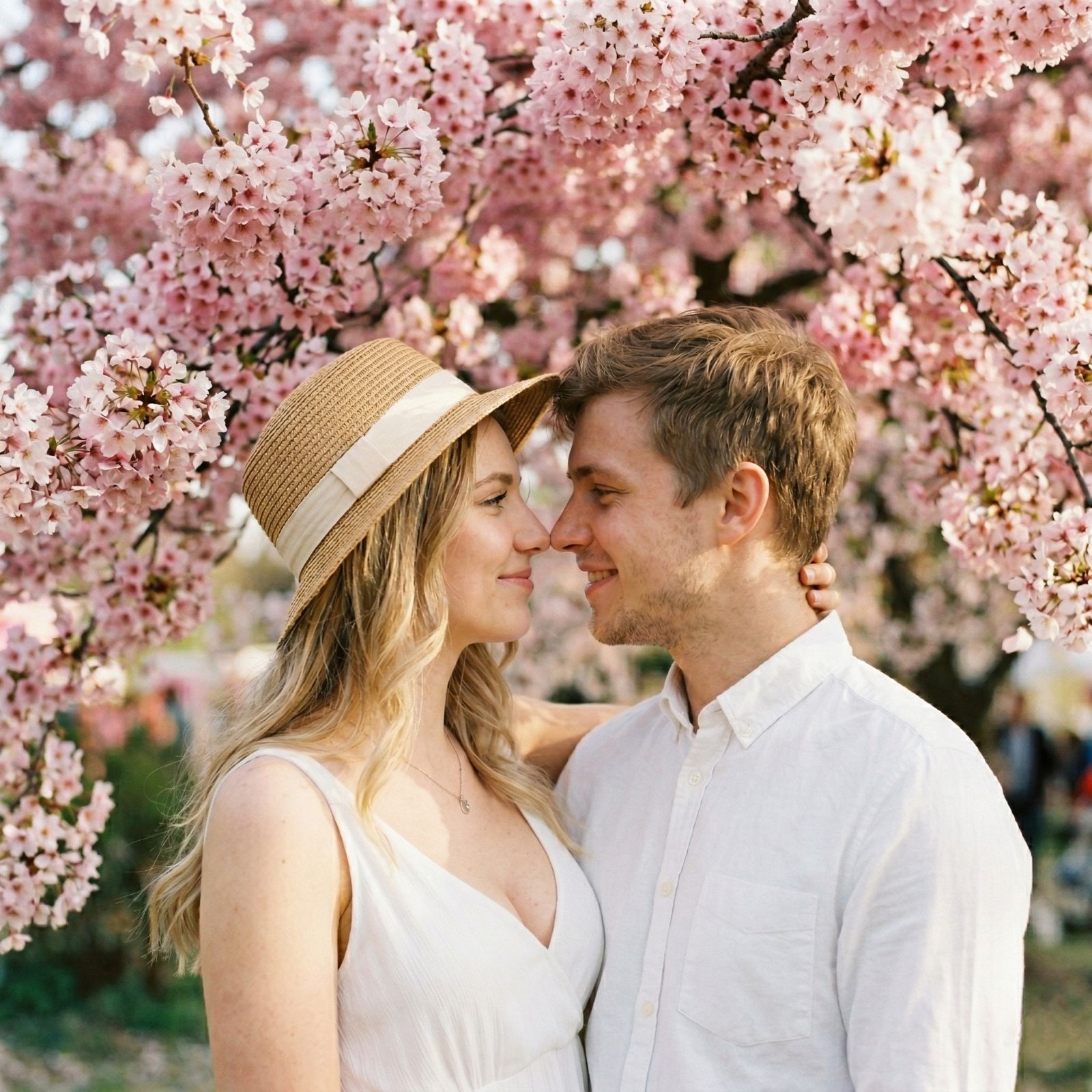 Rozkvetlé sakury a sklenka nápoje na festivalu Sakura Fest v Mikulově.