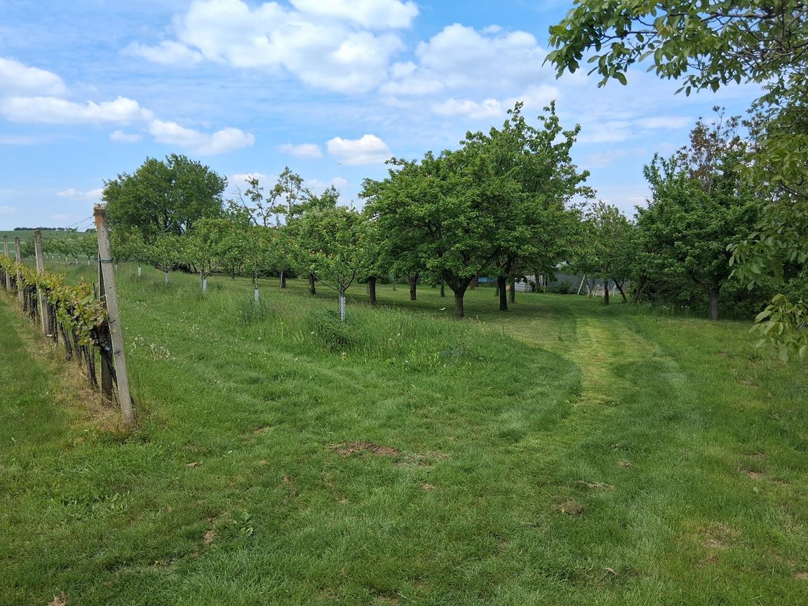 Foto Tupesy a Větřák