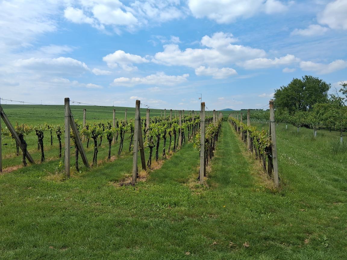 Foto Tupesy a Větřák