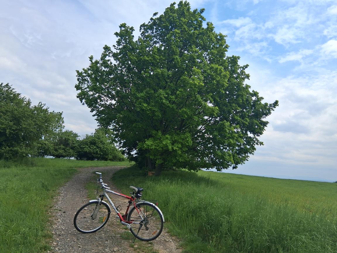 Foto Tupesy a Větřák
