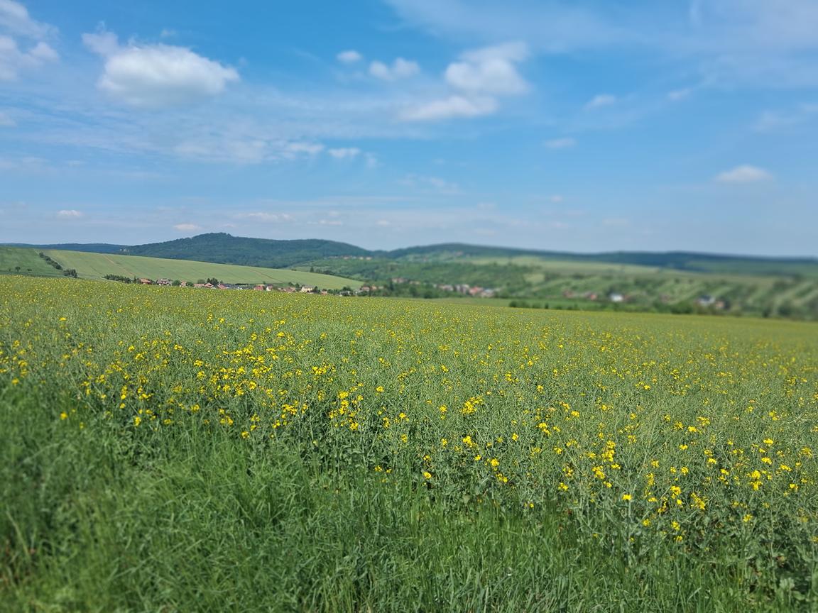 Foto Tupesy a Větřák
