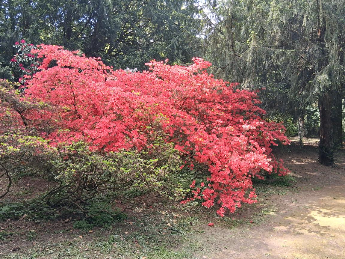 Zámecký park Buchlovice 1